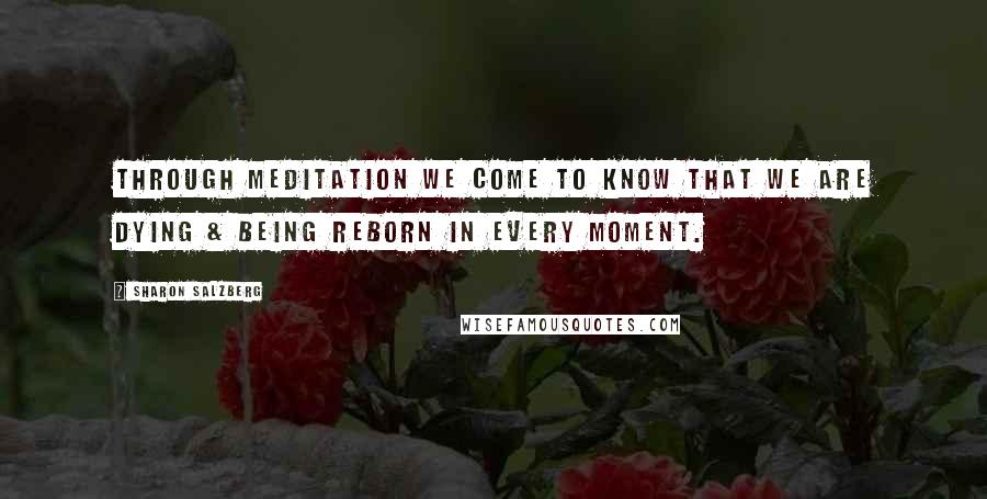 Sharon Salzberg Quotes: Through meditation we come to know that we are dying & being reborn in every moment.