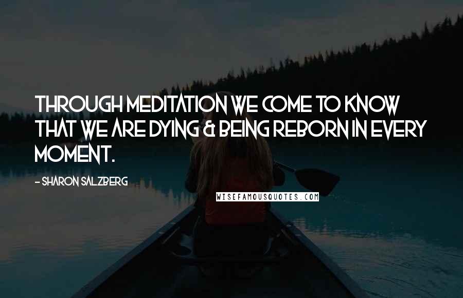 Sharon Salzberg Quotes: Through meditation we come to know that we are dying & being reborn in every moment.