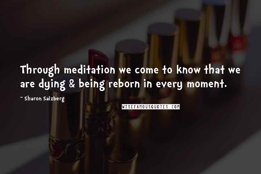 Sharon Salzberg Quotes: Through meditation we come to know that we are dying & being reborn in every moment.