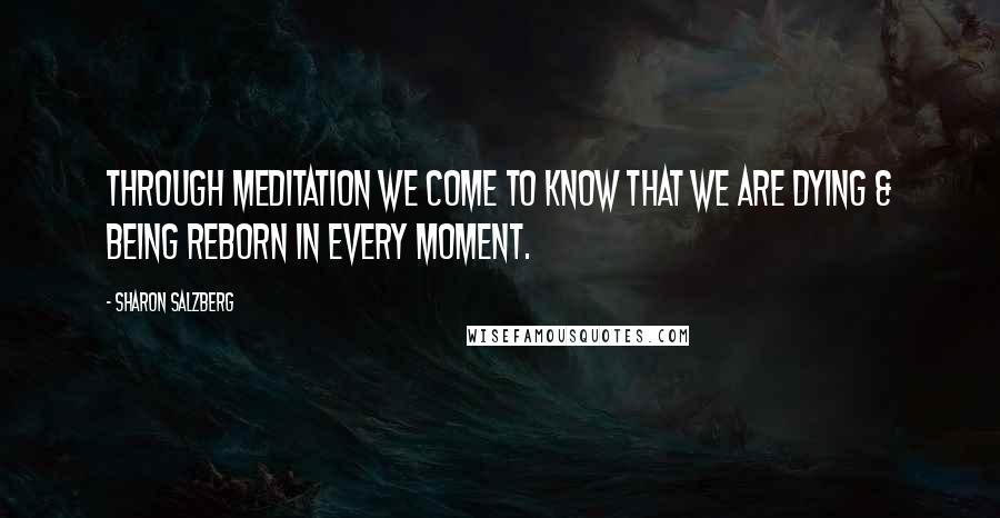 Sharon Salzberg Quotes: Through meditation we come to know that we are dying & being reborn in every moment.