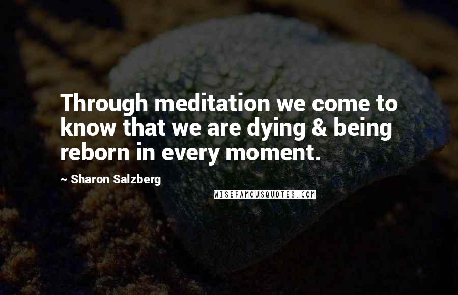 Sharon Salzberg Quotes: Through meditation we come to know that we are dying & being reborn in every moment.