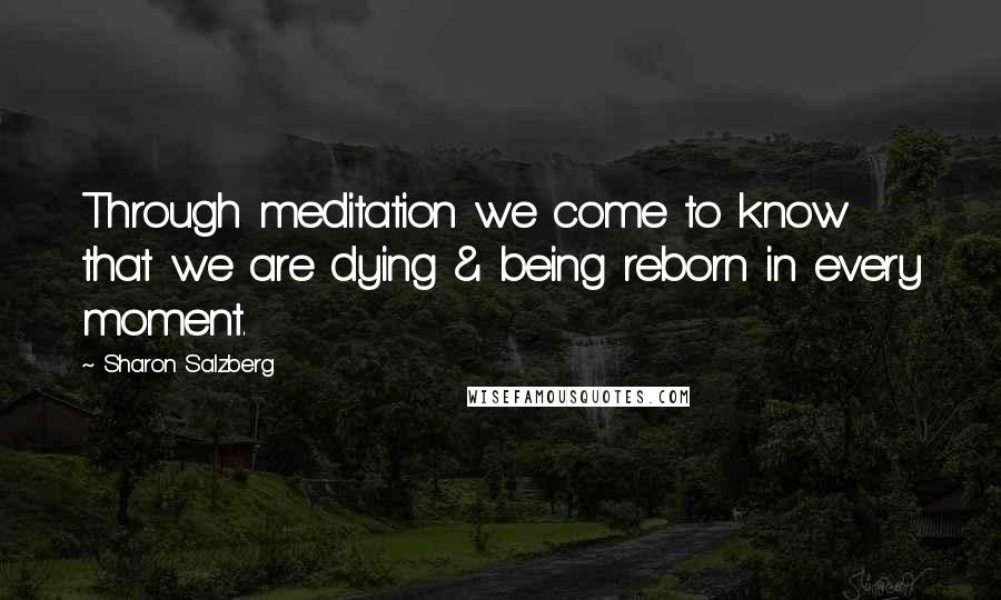 Sharon Salzberg Quotes: Through meditation we come to know that we are dying & being reborn in every moment.