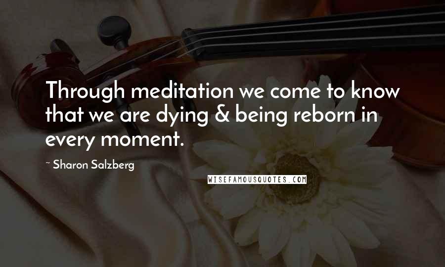 Sharon Salzberg Quotes: Through meditation we come to know that we are dying & being reborn in every moment.