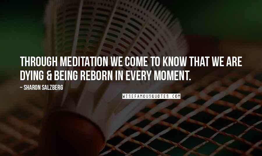 Sharon Salzberg Quotes: Through meditation we come to know that we are dying & being reborn in every moment.