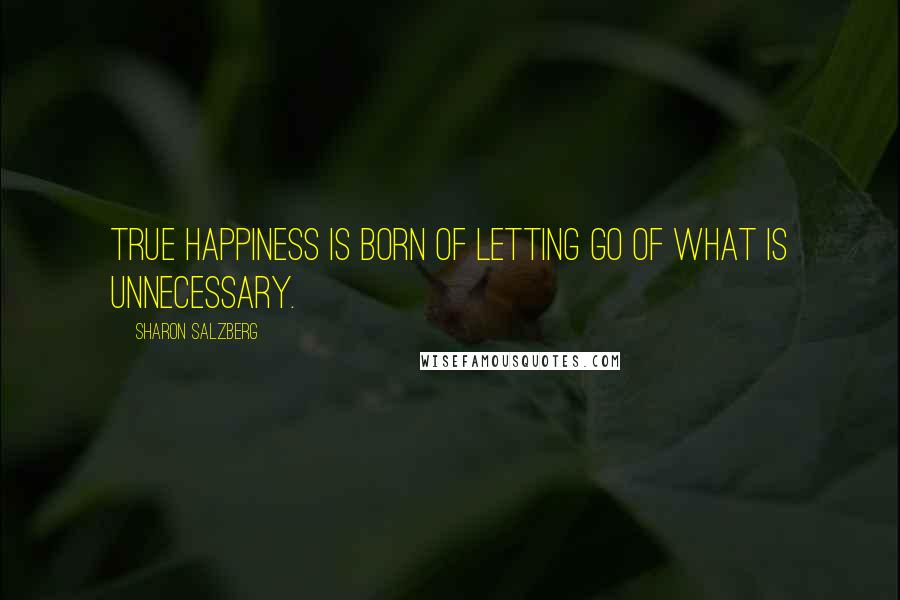 Sharon Salzberg Quotes: True happiness is born of letting go of what is unnecessary.