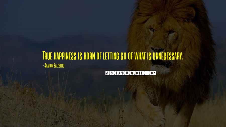 Sharon Salzberg Quotes: True happiness is born of letting go of what is unnecessary.