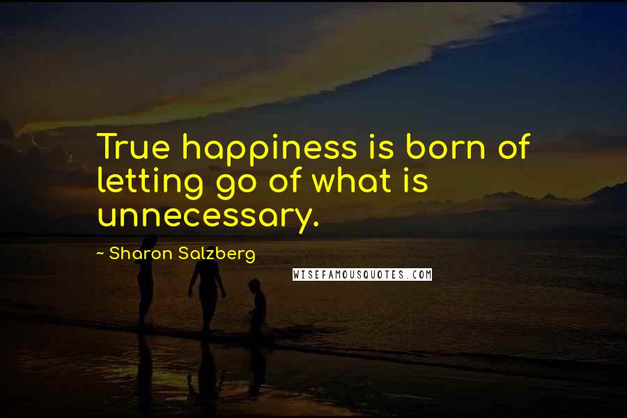 Sharon Salzberg Quotes: True happiness is born of letting go of what is unnecessary.