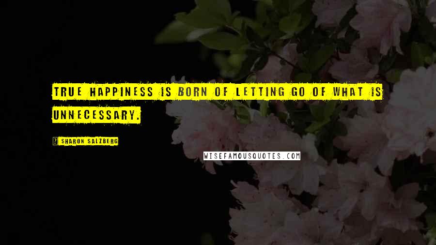 Sharon Salzberg Quotes: True happiness is born of letting go of what is unnecessary.