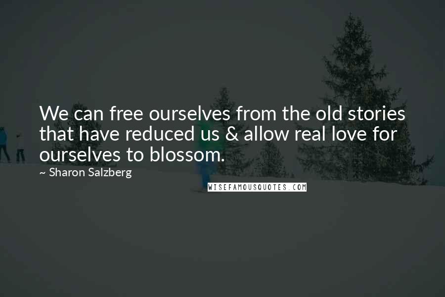 Sharon Salzberg Quotes: We can free ourselves from the old stories that have reduced us & allow real love for ourselves to blossom.