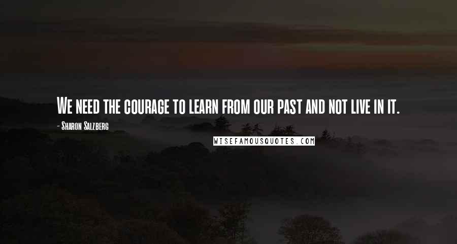 Sharon Salzberg Quotes: We need the courage to learn from our past and not live in it.