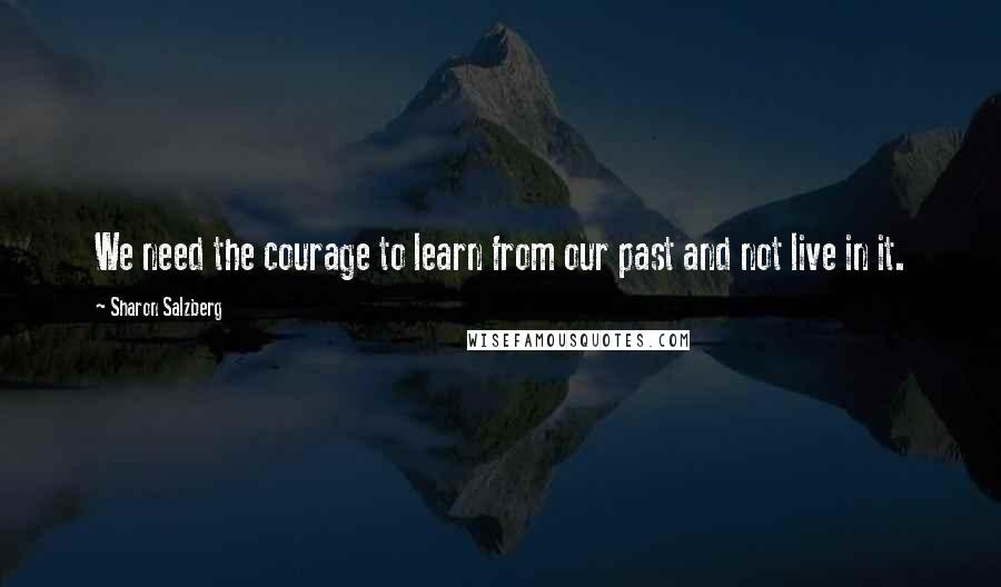 Sharon Salzberg Quotes: We need the courage to learn from our past and not live in it.