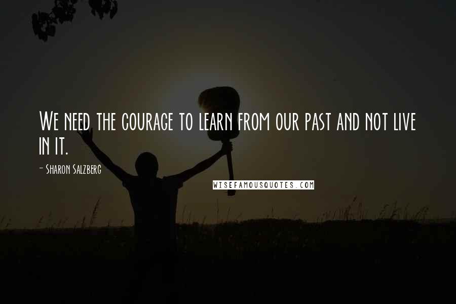 Sharon Salzberg Quotes: We need the courage to learn from our past and not live in it.