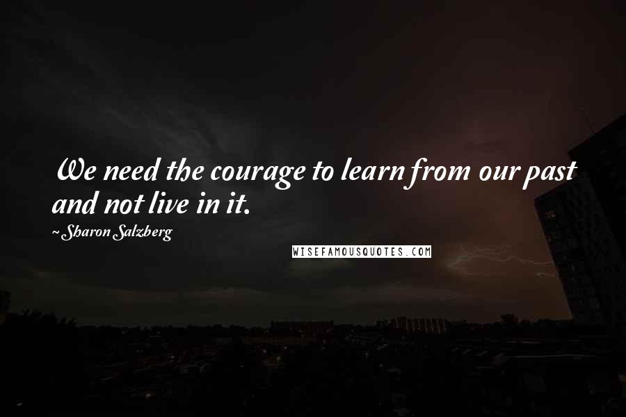 Sharon Salzberg Quotes: We need the courage to learn from our past and not live in it.