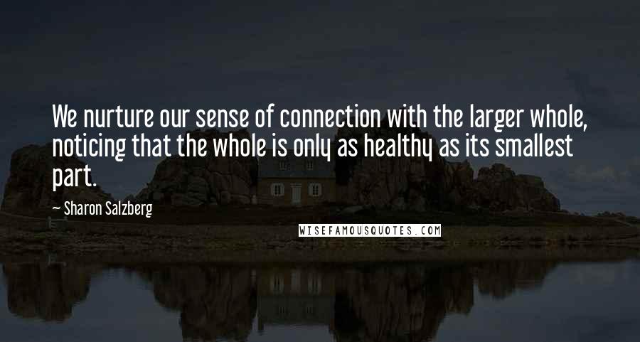 Sharon Salzberg Quotes: We nurture our sense of connection with the larger whole, noticing that the whole is only as healthy as its smallest part.