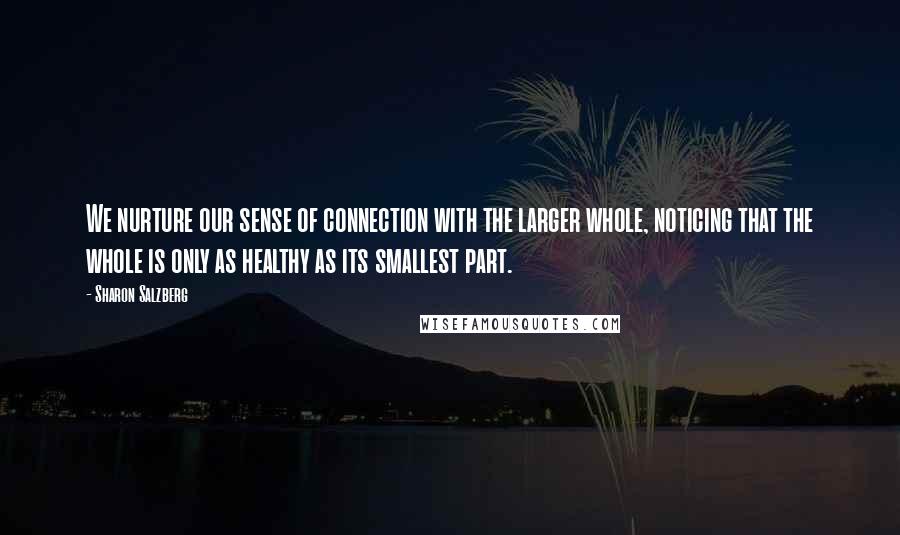 Sharon Salzberg Quotes: We nurture our sense of connection with the larger whole, noticing that the whole is only as healthy as its smallest part.