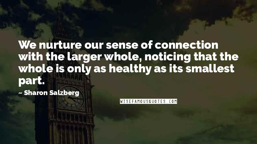 Sharon Salzberg Quotes: We nurture our sense of connection with the larger whole, noticing that the whole is only as healthy as its smallest part.