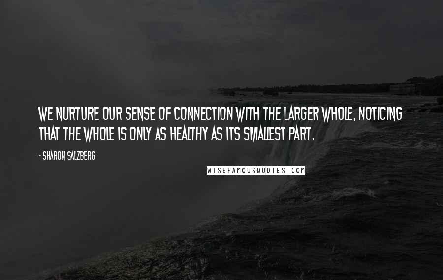 Sharon Salzberg Quotes: We nurture our sense of connection with the larger whole, noticing that the whole is only as healthy as its smallest part.