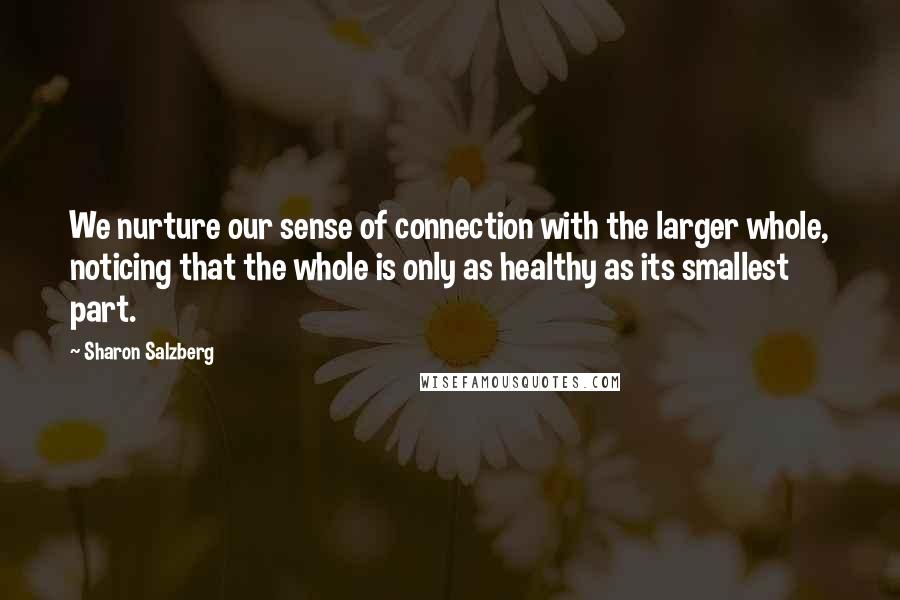 Sharon Salzberg Quotes: We nurture our sense of connection with the larger whole, noticing that the whole is only as healthy as its smallest part.