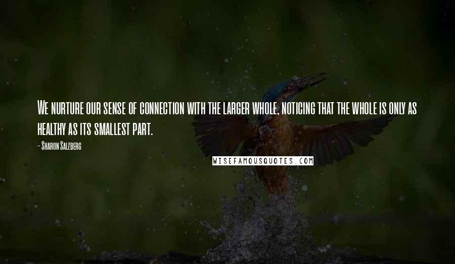 Sharon Salzberg Quotes: We nurture our sense of connection with the larger whole, noticing that the whole is only as healthy as its smallest part.