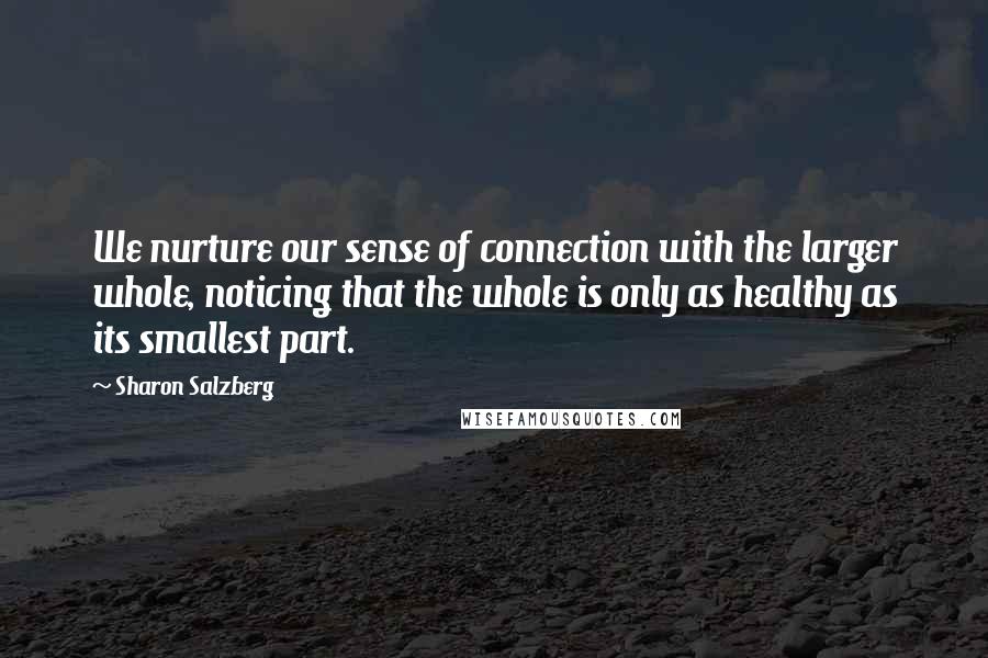 Sharon Salzberg Quotes: We nurture our sense of connection with the larger whole, noticing that the whole is only as healthy as its smallest part.