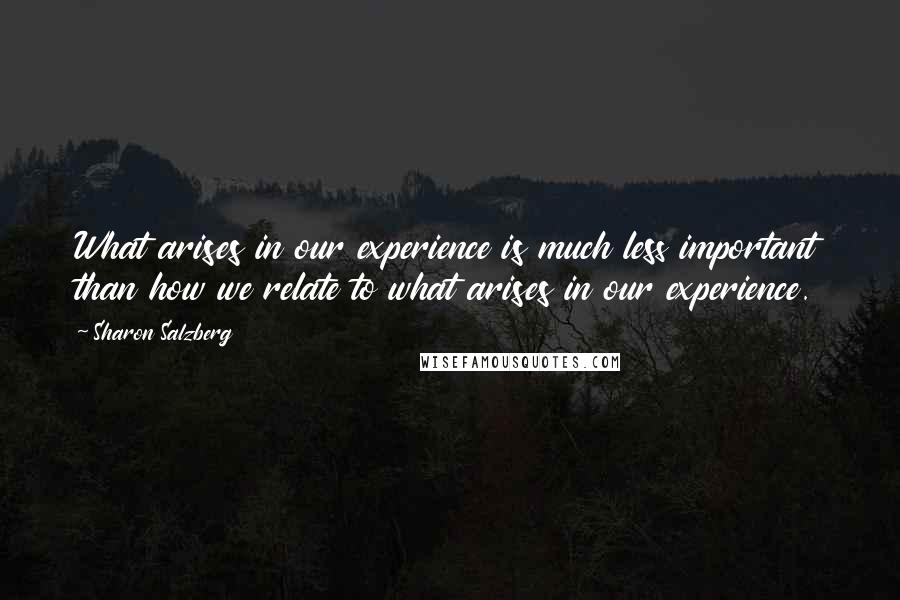 Sharon Salzberg Quotes: What arises in our experience is much less important than how we relate to what arises in our experience.