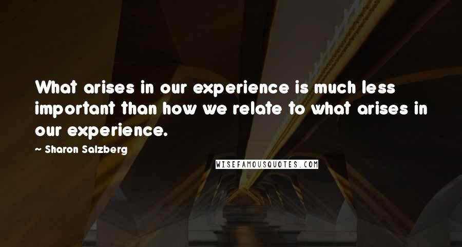 Sharon Salzberg Quotes: What arises in our experience is much less important than how we relate to what arises in our experience.
