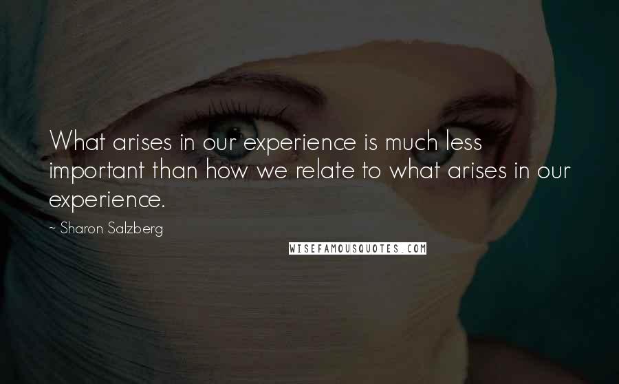 Sharon Salzberg Quotes: What arises in our experience is much less important than how we relate to what arises in our experience.