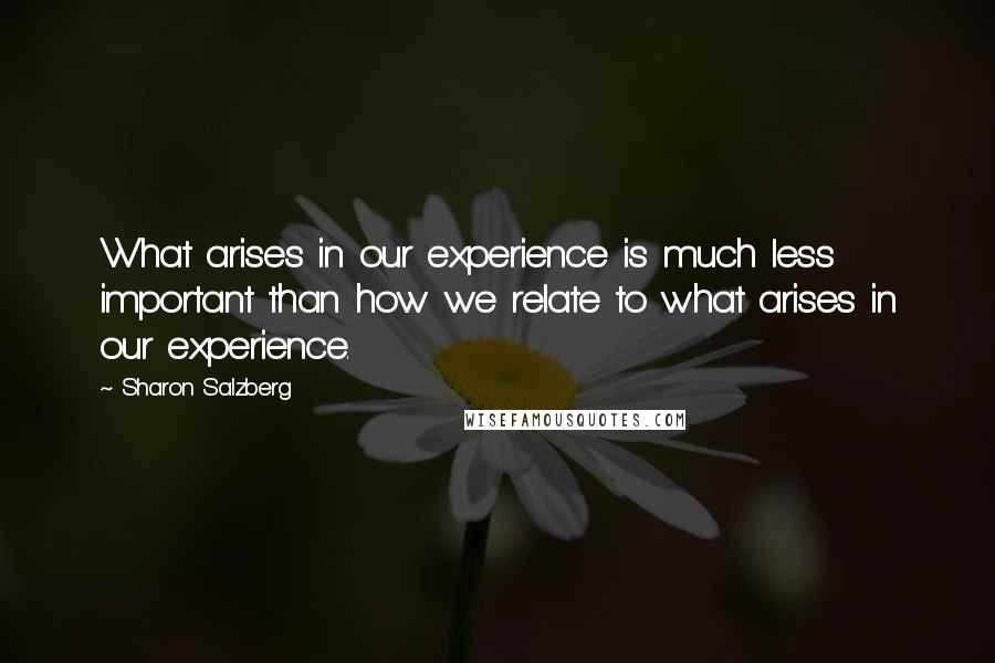 Sharon Salzberg Quotes: What arises in our experience is much less important than how we relate to what arises in our experience.