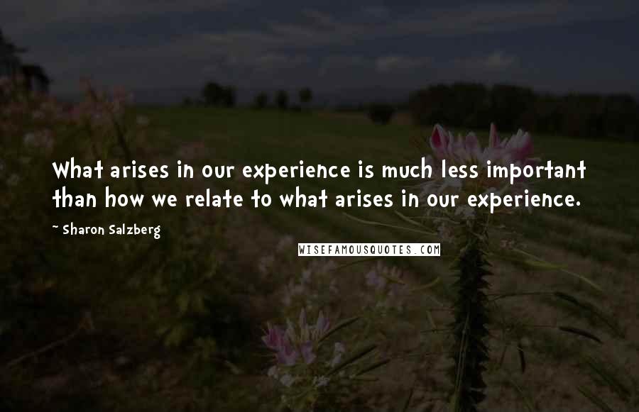 Sharon Salzberg Quotes: What arises in our experience is much less important than how we relate to what arises in our experience.