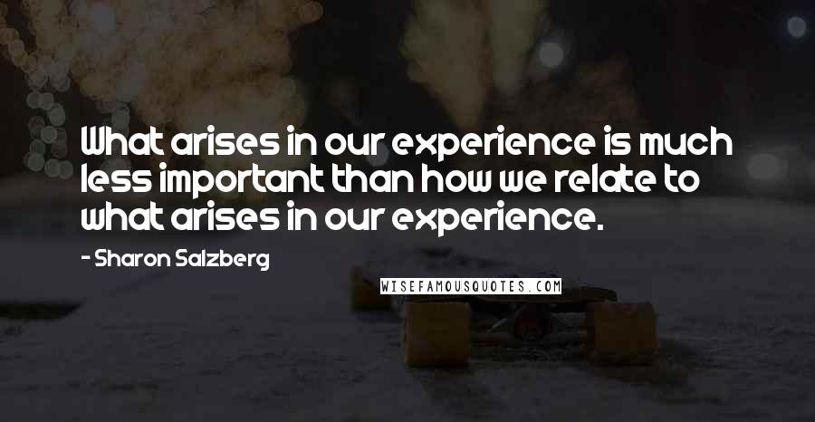 Sharon Salzberg Quotes: What arises in our experience is much less important than how we relate to what arises in our experience.