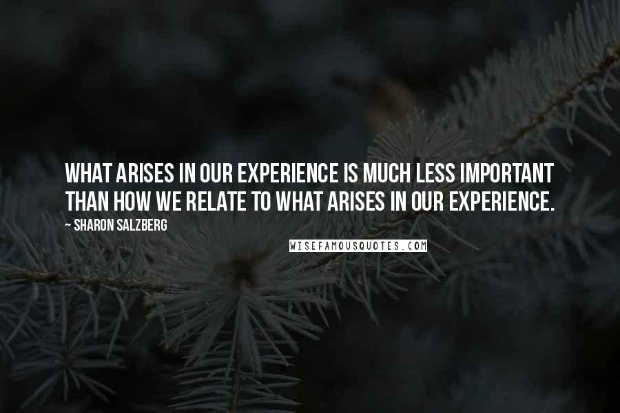 Sharon Salzberg Quotes: What arises in our experience is much less important than how we relate to what arises in our experience.