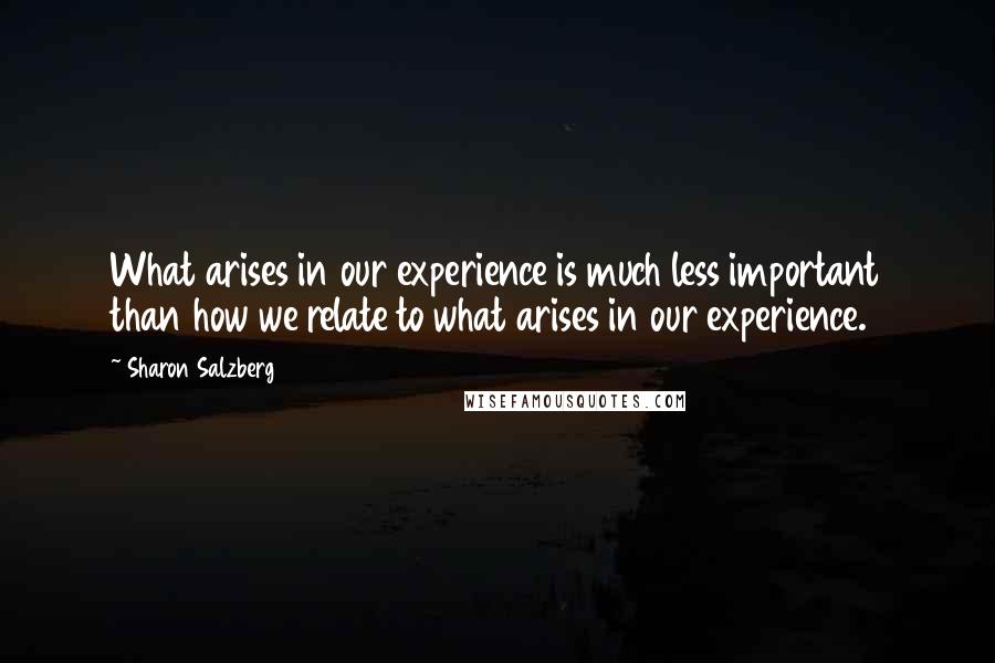 Sharon Salzberg Quotes: What arises in our experience is much less important than how we relate to what arises in our experience.