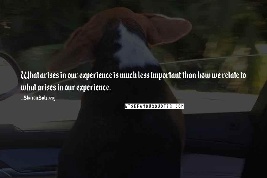 Sharon Salzberg Quotes: What arises in our experience is much less important than how we relate to what arises in our experience.