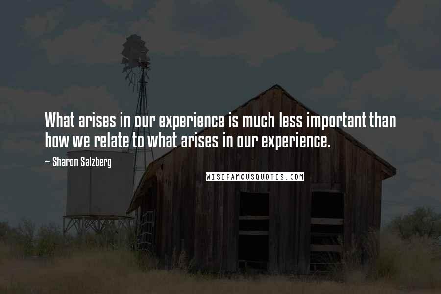 Sharon Salzberg Quotes: What arises in our experience is much less important than how we relate to what arises in our experience.