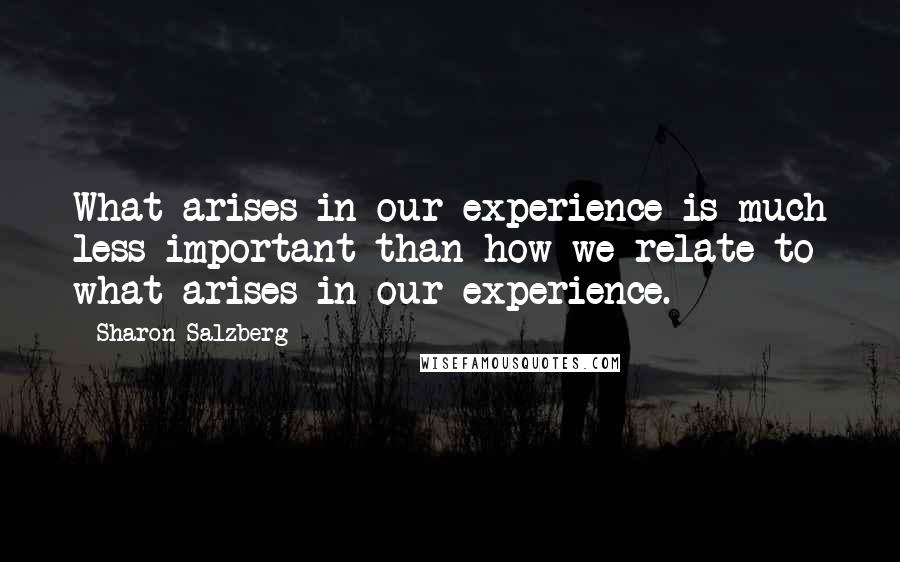 Sharon Salzberg Quotes: What arises in our experience is much less important than how we relate to what arises in our experience.