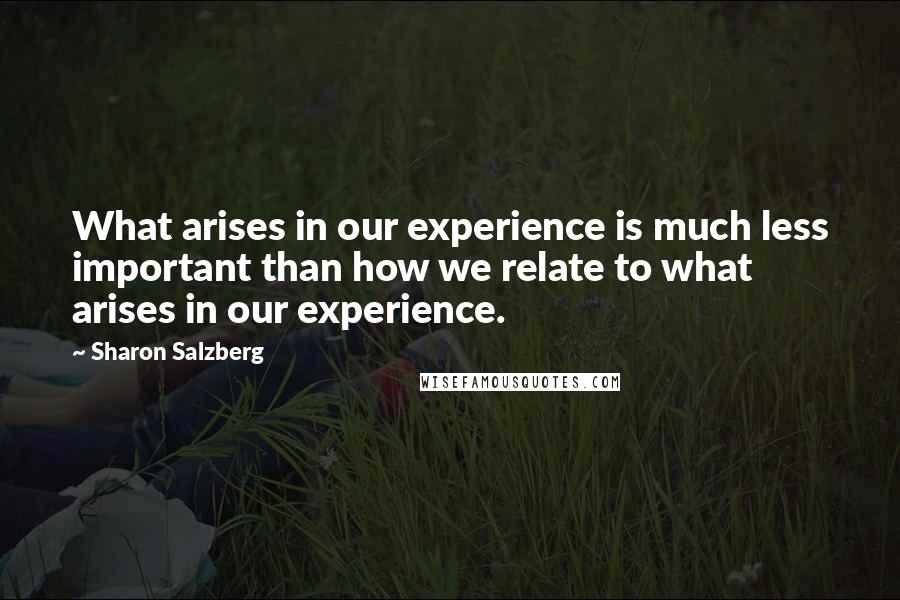 Sharon Salzberg Quotes: What arises in our experience is much less important than how we relate to what arises in our experience.