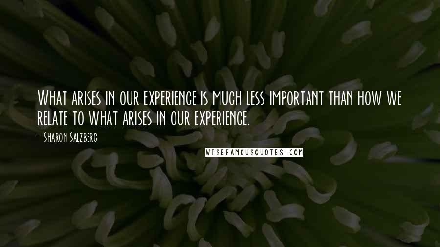 Sharon Salzberg Quotes: What arises in our experience is much less important than how we relate to what arises in our experience.