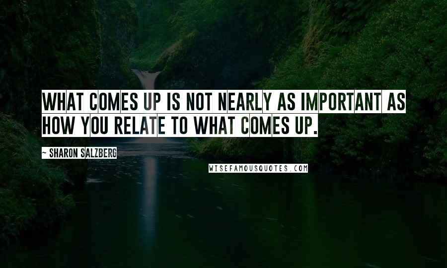 Sharon Salzberg Quotes: What comes up is not nearly as important as how you relate to what comes up.