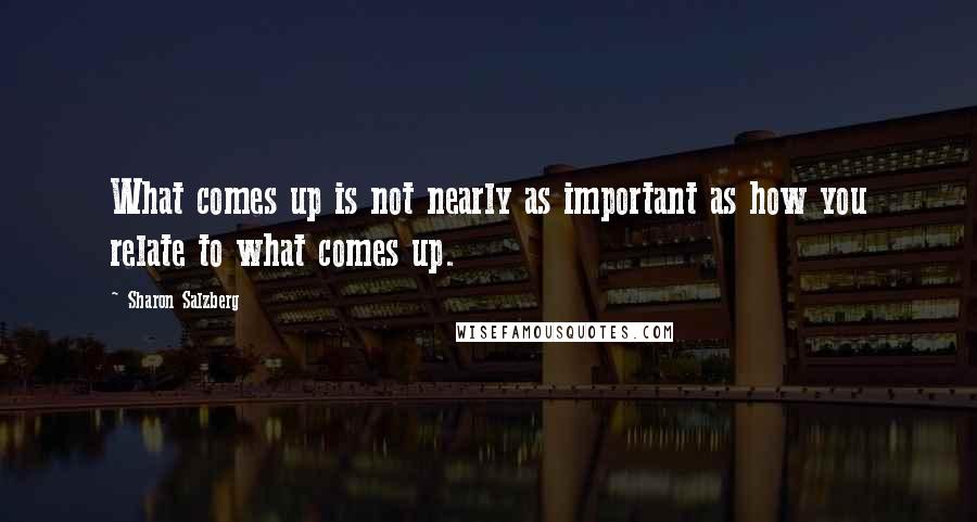 Sharon Salzberg Quotes: What comes up is not nearly as important as how you relate to what comes up.