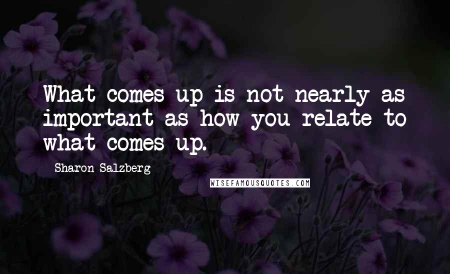 Sharon Salzberg Quotes: What comes up is not nearly as important as how you relate to what comes up.