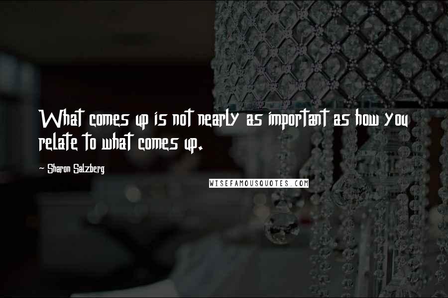 Sharon Salzberg Quotes: What comes up is not nearly as important as how you relate to what comes up.