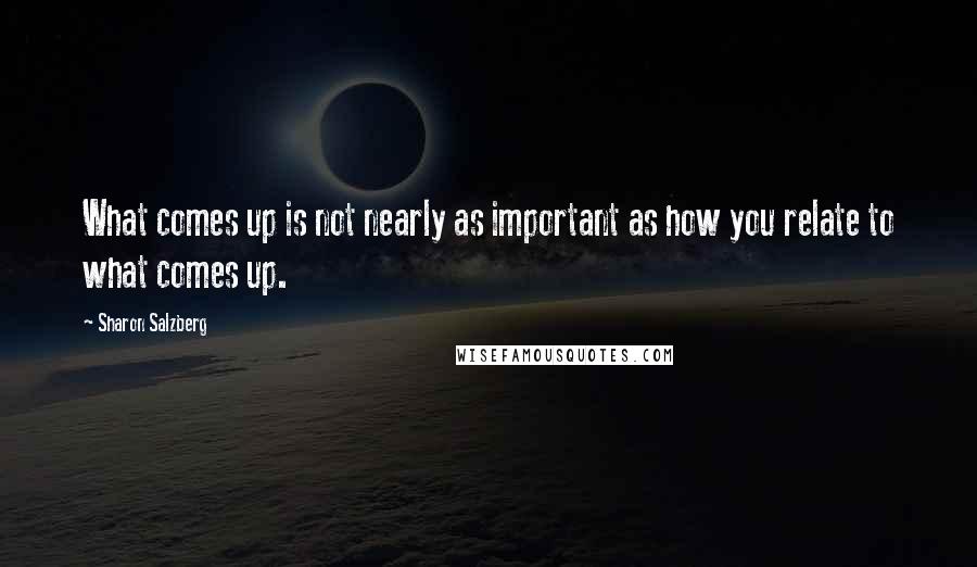 Sharon Salzberg Quotes: What comes up is not nearly as important as how you relate to what comes up.