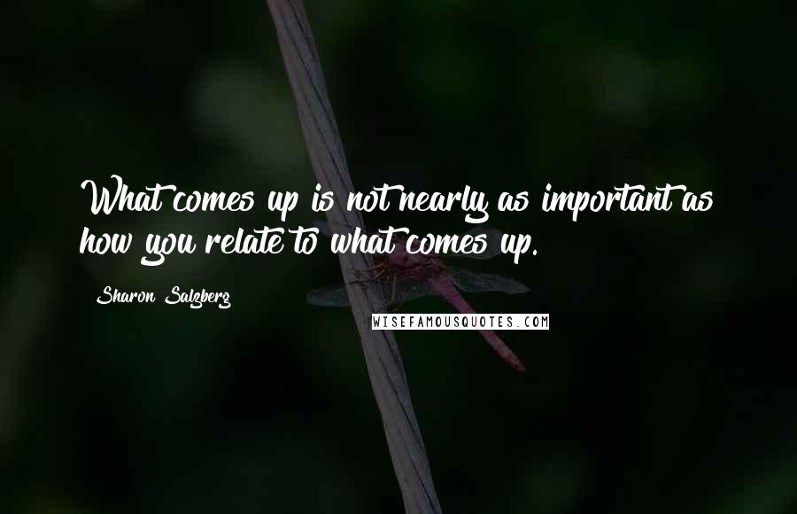 Sharon Salzberg Quotes: What comes up is not nearly as important as how you relate to what comes up.