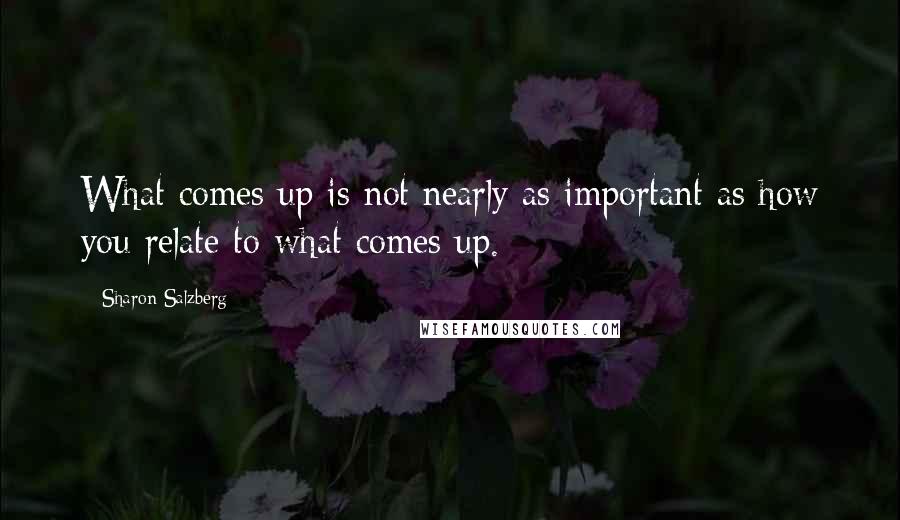 Sharon Salzberg Quotes: What comes up is not nearly as important as how you relate to what comes up.