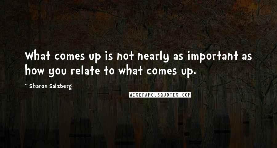 Sharon Salzberg Quotes: What comes up is not nearly as important as how you relate to what comes up.