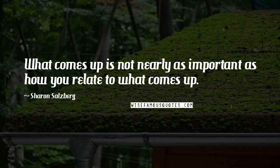 Sharon Salzberg Quotes: What comes up is not nearly as important as how you relate to what comes up.