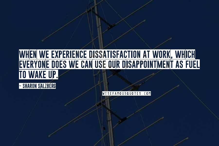 Sharon Salzberg Quotes: When we experience dissatisfaction at work, which everyone does we can use our disappointment as fuel to wake up.