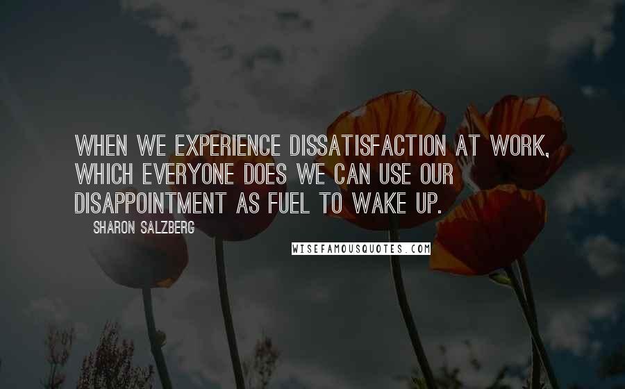 Sharon Salzberg Quotes: When we experience dissatisfaction at work, which everyone does we can use our disappointment as fuel to wake up.