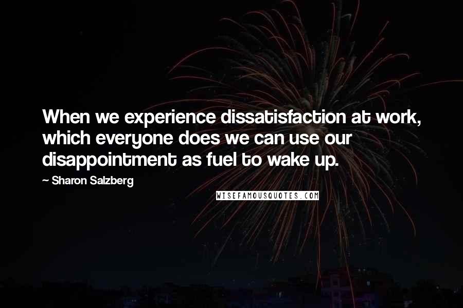 Sharon Salzberg Quotes: When we experience dissatisfaction at work, which everyone does we can use our disappointment as fuel to wake up.