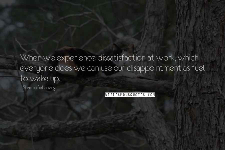 Sharon Salzberg Quotes: When we experience dissatisfaction at work, which everyone does we can use our disappointment as fuel to wake up.